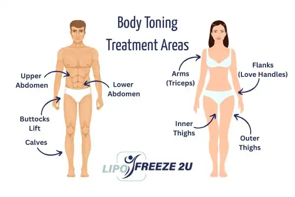 Graphic showing where you can have Body toning Treatment Dorset on your body